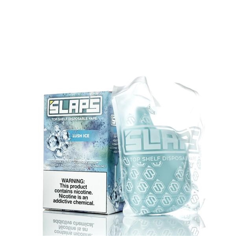 SLAPS 4500 Puffs Rechargeable Disposable Kit