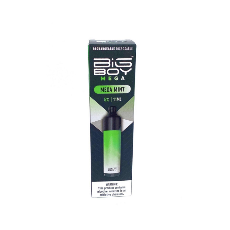 Big Boy Mega Rechargeable Disposable 5000 Puffs 11ml