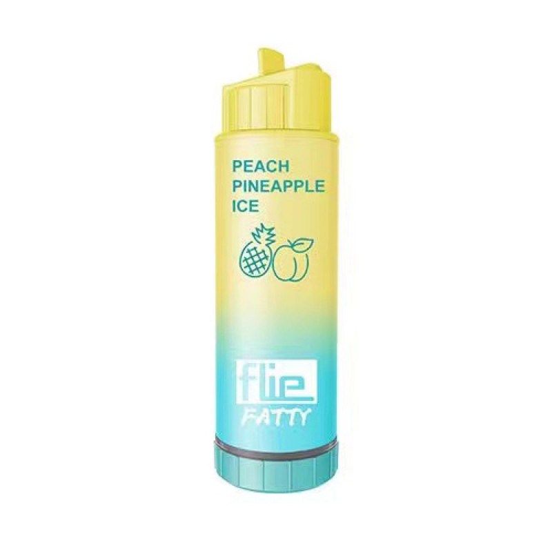 Flie Fatty Rechargeable Disposable Kit 8000 puffs 16ml