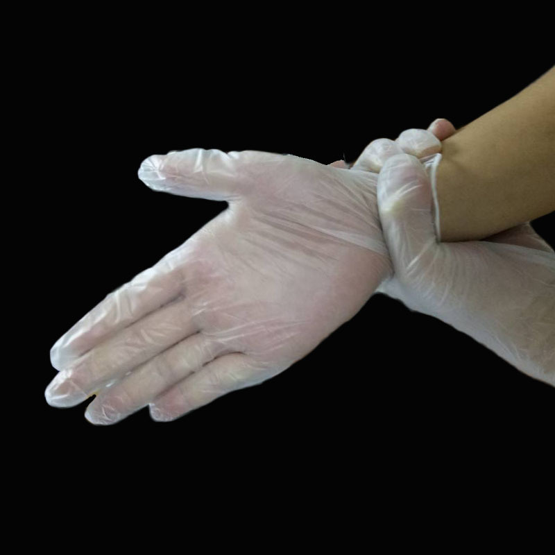 Disposable Transparent PVC Gloves (100pcs/pack)